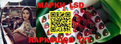 прущий лед Краснознаменск